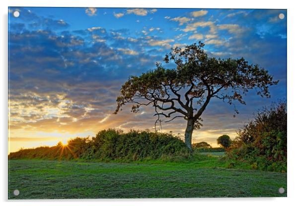 South Somerset Sunset Acrylic by Darren Galpin