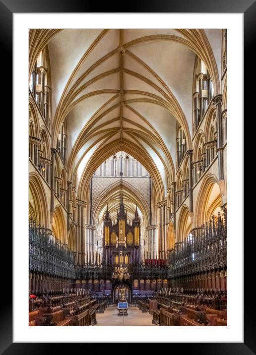 Breathtaking Gothic Splendor Framed Mounted Print by Steve Smith
