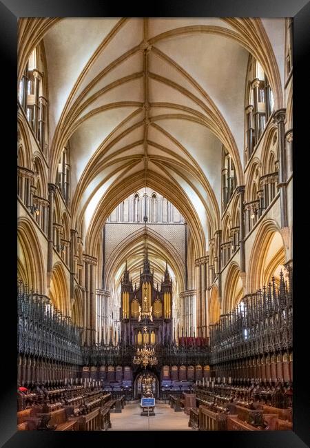 Breathtaking Gothic Splendor Framed Print by Steve Smith