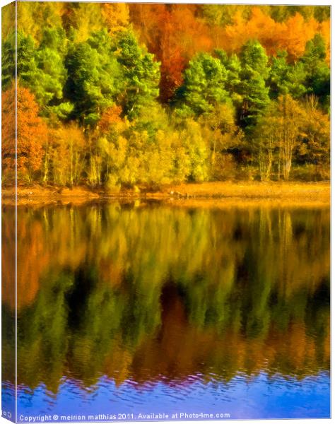 extreme autumn colour Canvas Print by meirion matthias