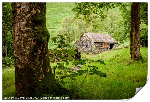 Stone hut in the woods Print by Darrell Evans