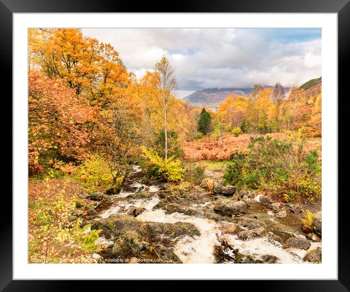 Ashness to Keswick in Autumn Framed Mounted Print by Darrell Evans