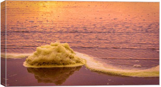 Glorious sea-foam Sunrise at Montrose Beach in Sco Canvas Print by DAVID FRANCIS