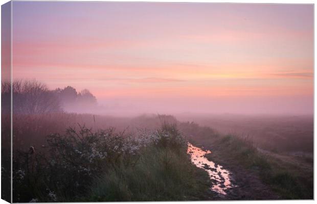 Pre sunrise colour over the rope walk in Brightlingsea  Canvas Print by Tony lopez