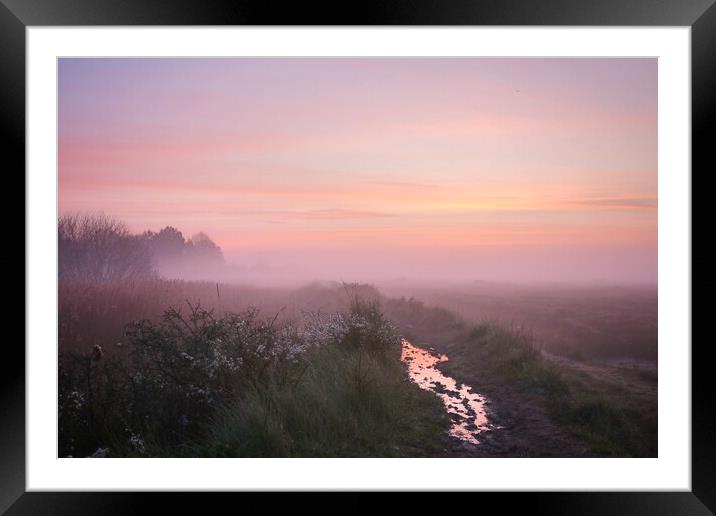Pre sunrise colour over the rope walk in Brightlingsea  Framed Mounted Print by Tony lopez
