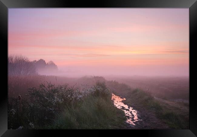 Pre sunrise colour over the rope walk in Brightlingsea  Framed Print by Tony lopez