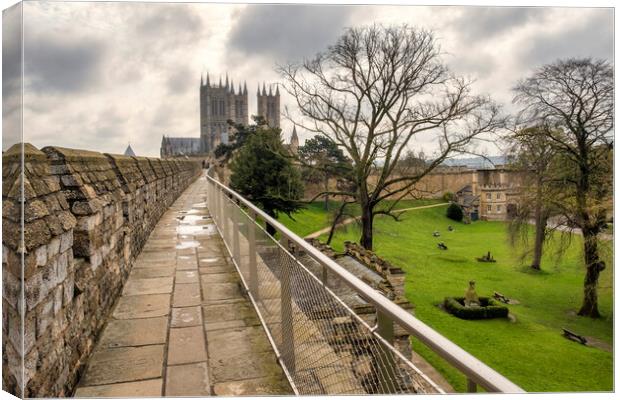 Lincoln Cathedral from Lincoln Castle walls Canvas Print by Tim Hill