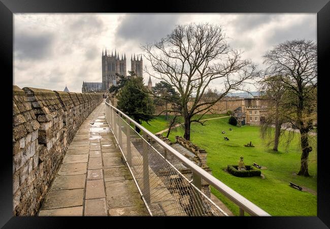Lincoln Cathedral from Lincoln Castle walls Framed Print by Tim Hill