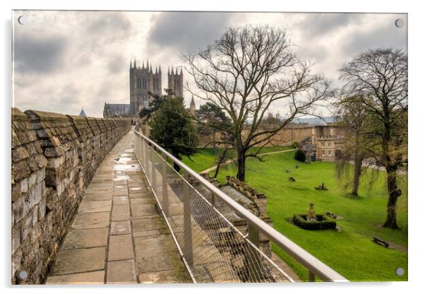 Lincoln Cathedral from Lincoln Castle walls Acrylic by Tim Hill