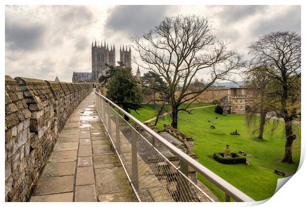 Lincoln Cathedral from Lincoln Castle walls Print by Tim Hill