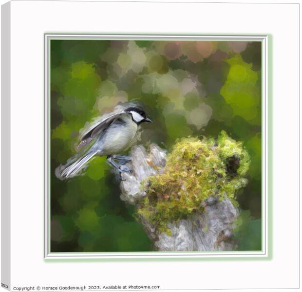 Just landed Canvas Print by Horace Goodenough