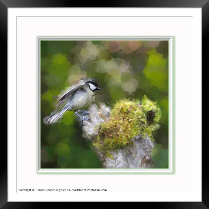 Just landed Framed Mounted Print by Horace Goodenough