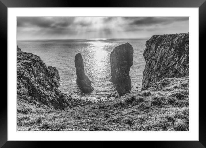Elegug Stacks Pembrokeshire Coast Black and White Framed Mounted Print by Terry Brooks