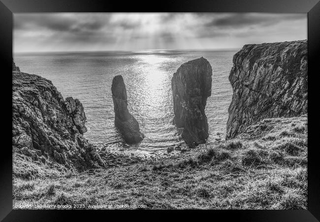 Elegug Stacks Pembrokeshire Coast Black and White Framed Print by Terry Brooks