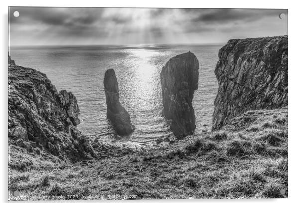 Elegug Stacks Pembrokeshire Coast Black and White Acrylic by Terry Brooks
