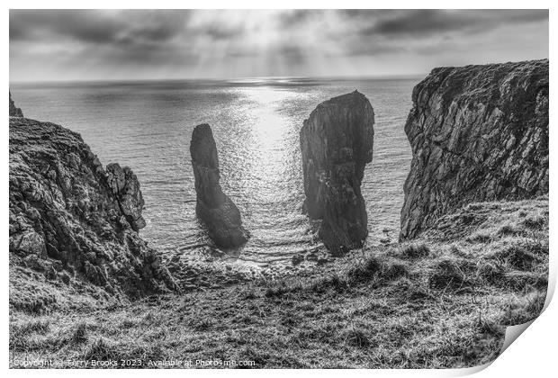 Elegug Stacks Pembrokeshire Coast Black and White Print by Terry Brooks