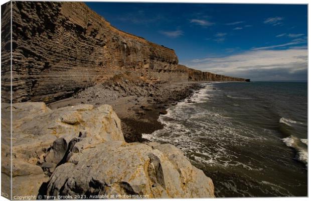 The Heritage Coast Cliffs Stretching out to the Horizon Canvas Print by Terry Brooks