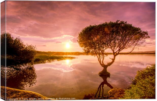 Sunset over Kenfig Pool Canvas Print by Terry Brooks