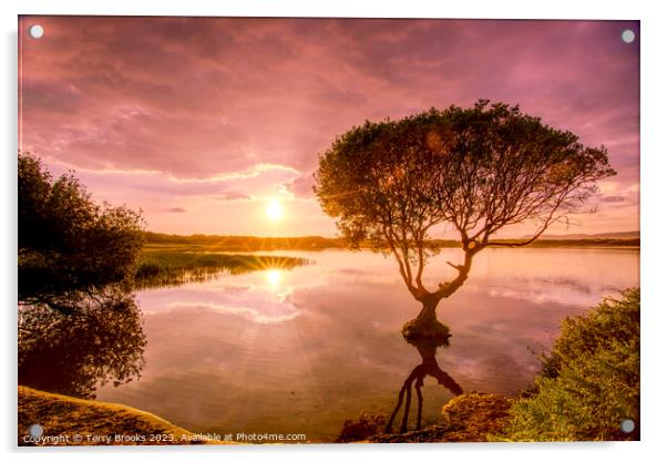 Sunset over Kenfig Pool Acrylic by Terry Brooks
