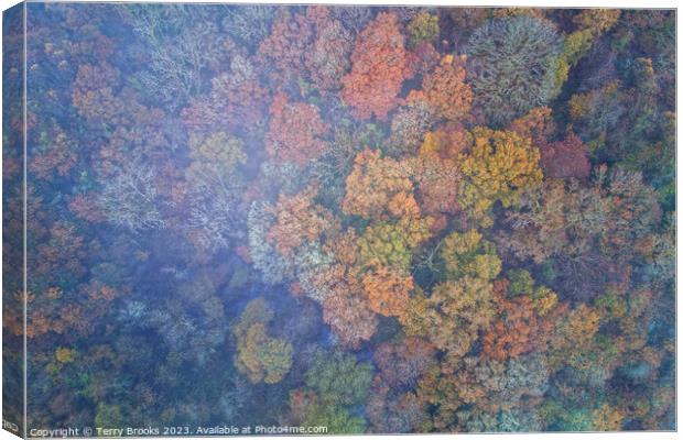 Misty Autumn Aerial Colourful Woodland Image Canvas Print by Terry Brooks
