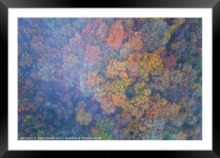 Misty Autumn Aerial Colourful Woodland Image Framed Mounted Print by Terry Brooks