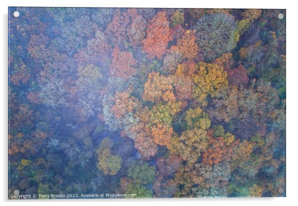 Misty Autumn Aerial Colourful Woodland Image Acrylic by Terry Brooks