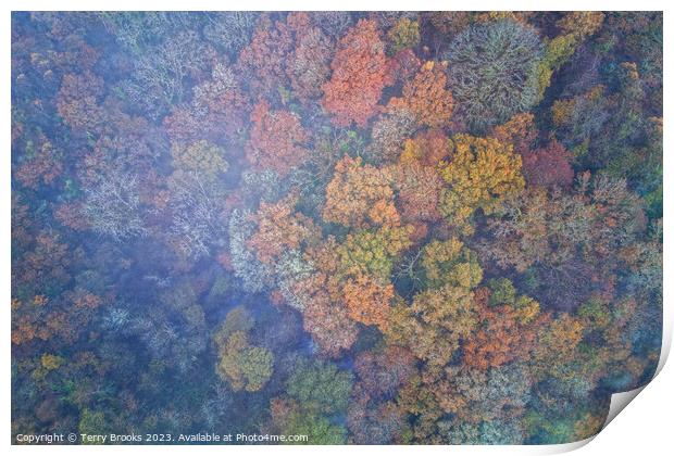 Misty Autumn Aerial Colourful Woodland Image Print by Terry Brooks