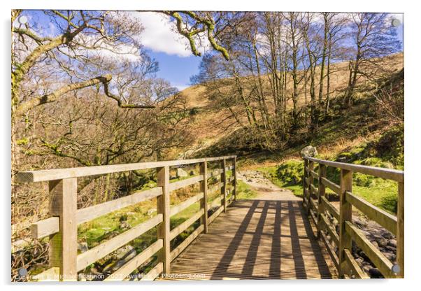 Wooden footbridge - English Lake District Acrylic by Michael Shannon