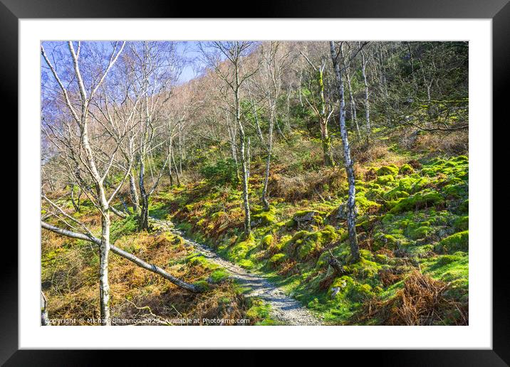 Path through the Wood Framed Mounted Print by Michael Shannon