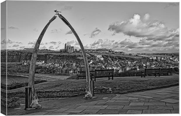 Whitby Canvas Print by Northeast Images