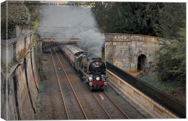 Steam train Braunton through Sydney Gardens in Bath Canvas Print by Duncan Savidge