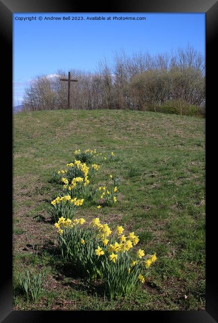 Easter Cross daffodils Framed Print by Andrew Bell