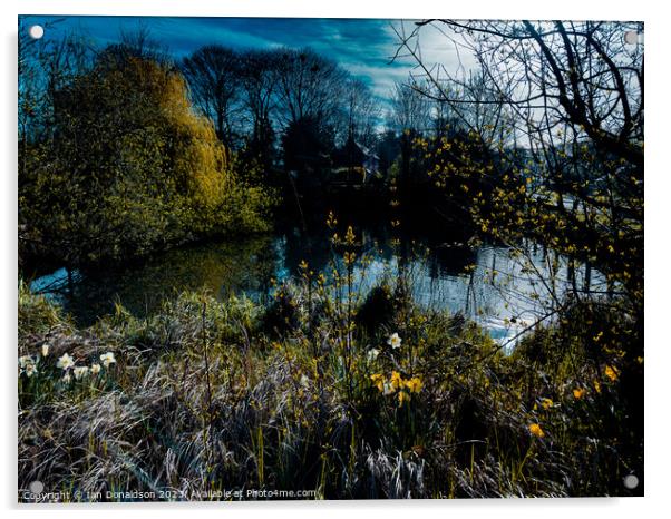 Pond Life Acrylic by Ian Donaldson