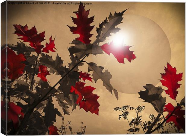 Red Oak leaves Canvas Print by Laura Jarvis
