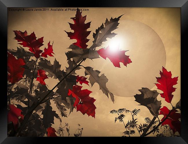 Red Oak leaves Framed Print by Laura Jarvis
