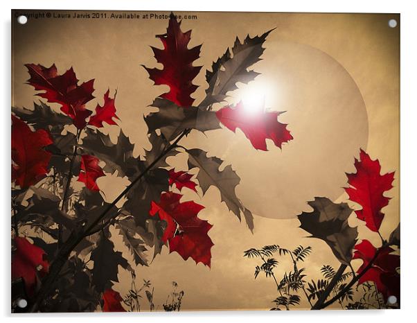 Red Oak leaves Acrylic by Laura Jarvis