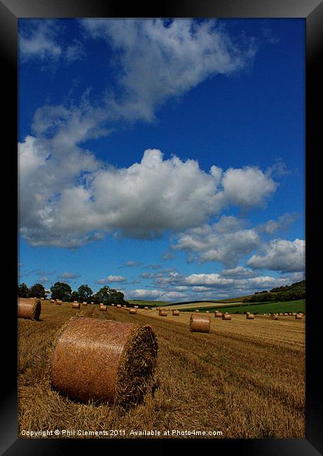 Sussex Harvest Framed Print by Phil Clements