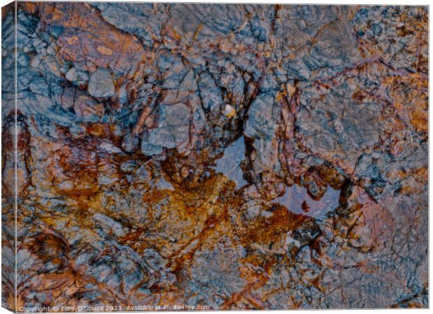 Abstract Rock Textures Canvas Print by Errol D'Souza