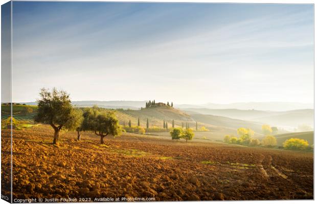Olive trees in the Val D'Orcia, Tuscany, Italy Canvas Print by Justin Foulkes