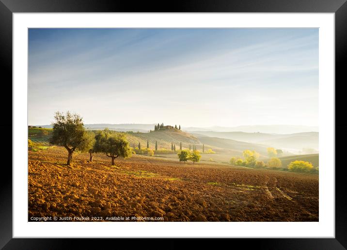 Olive trees in the Val D'Orcia, Tuscany, Italy Framed Mounted Print by Justin Foulkes