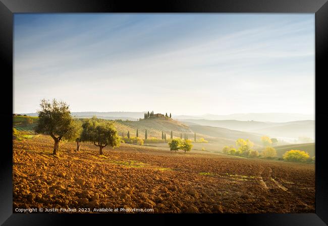 Olive trees in the Val D'Orcia, Tuscany, Italy Framed Print by Justin Foulkes