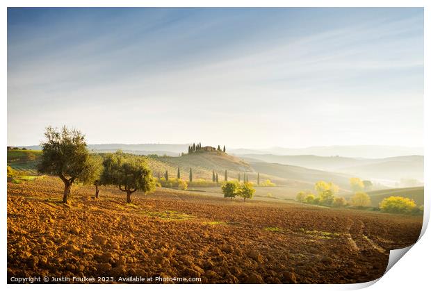 Olive trees in the Val D'Orcia, Tuscany, Italy Print by Justin Foulkes