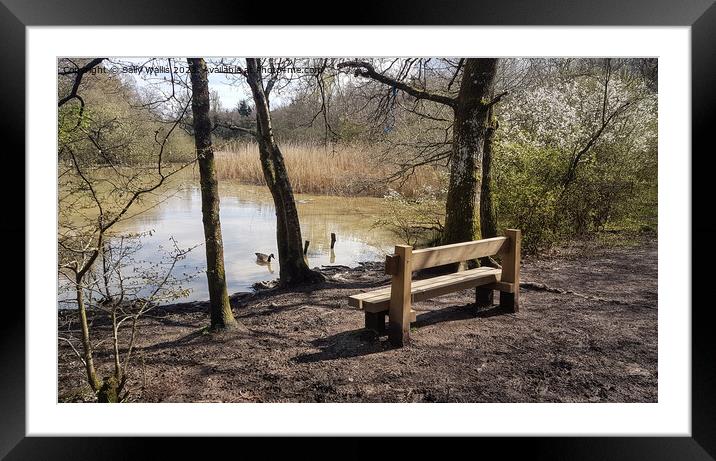 Bench with a View Framed Mounted Print by Sally Wallis