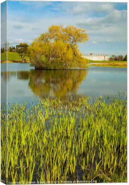 Petworth Park Canvas Print by Slawek Staszczuk