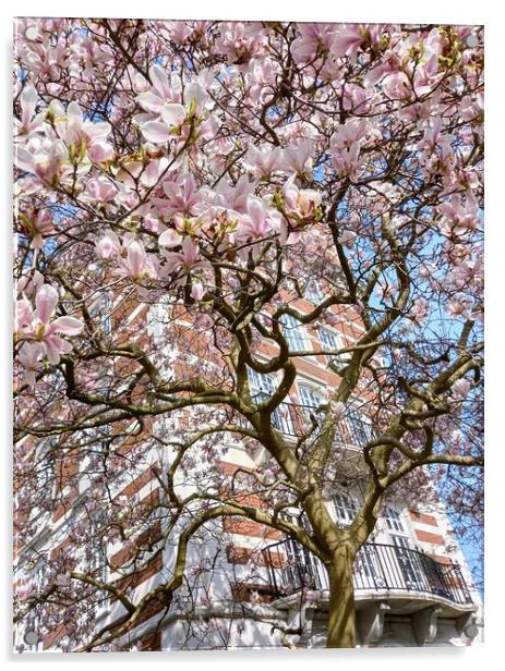 The enchanting Magnolia Tree of St John's Wood Acrylic by Peter Lewis