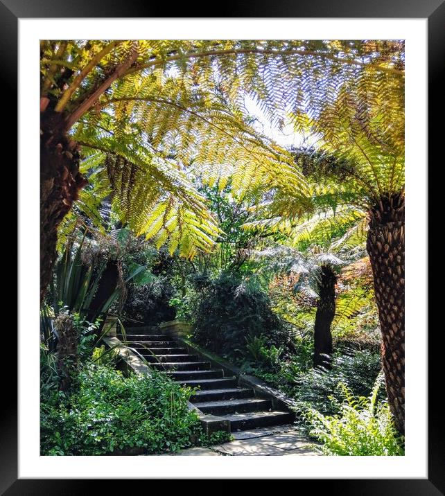Enchanted Paradise Framed Mounted Print by Peter Lewis