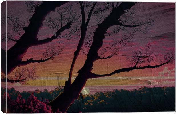 Forest Sun Set 02  Canvas Print by Glen Allen