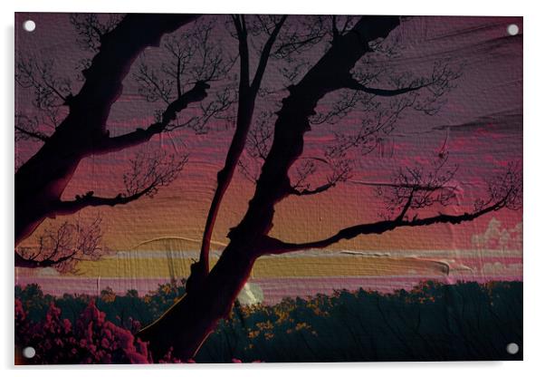 Forest Sun Set 02  Acrylic by Glen Allen