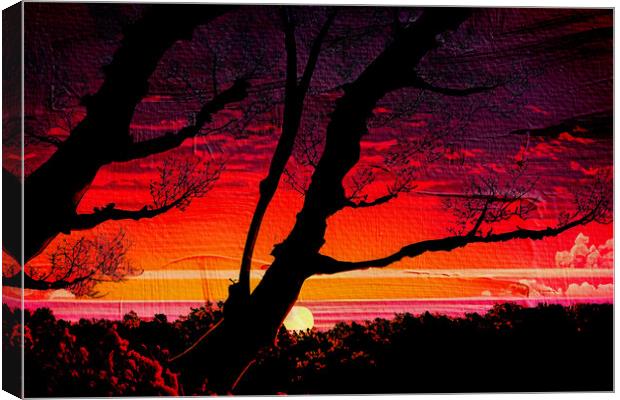 Forest Sunset 03 Canvas Print by Glen Allen