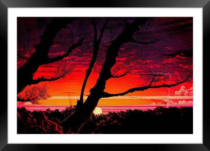 Forest Sunset 03 Framed Mounted Print by Glen Allen